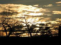 Hackberry Ranch